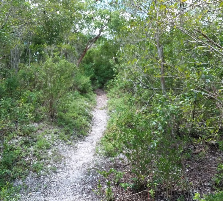 mound-key-archaeological-state-park-photo